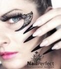 Nail Perfect Professional System poster. Nails done by Dorota Palicka Nail Perfect Educator in Scotland