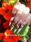 Dorota Palicka One stroke nail art